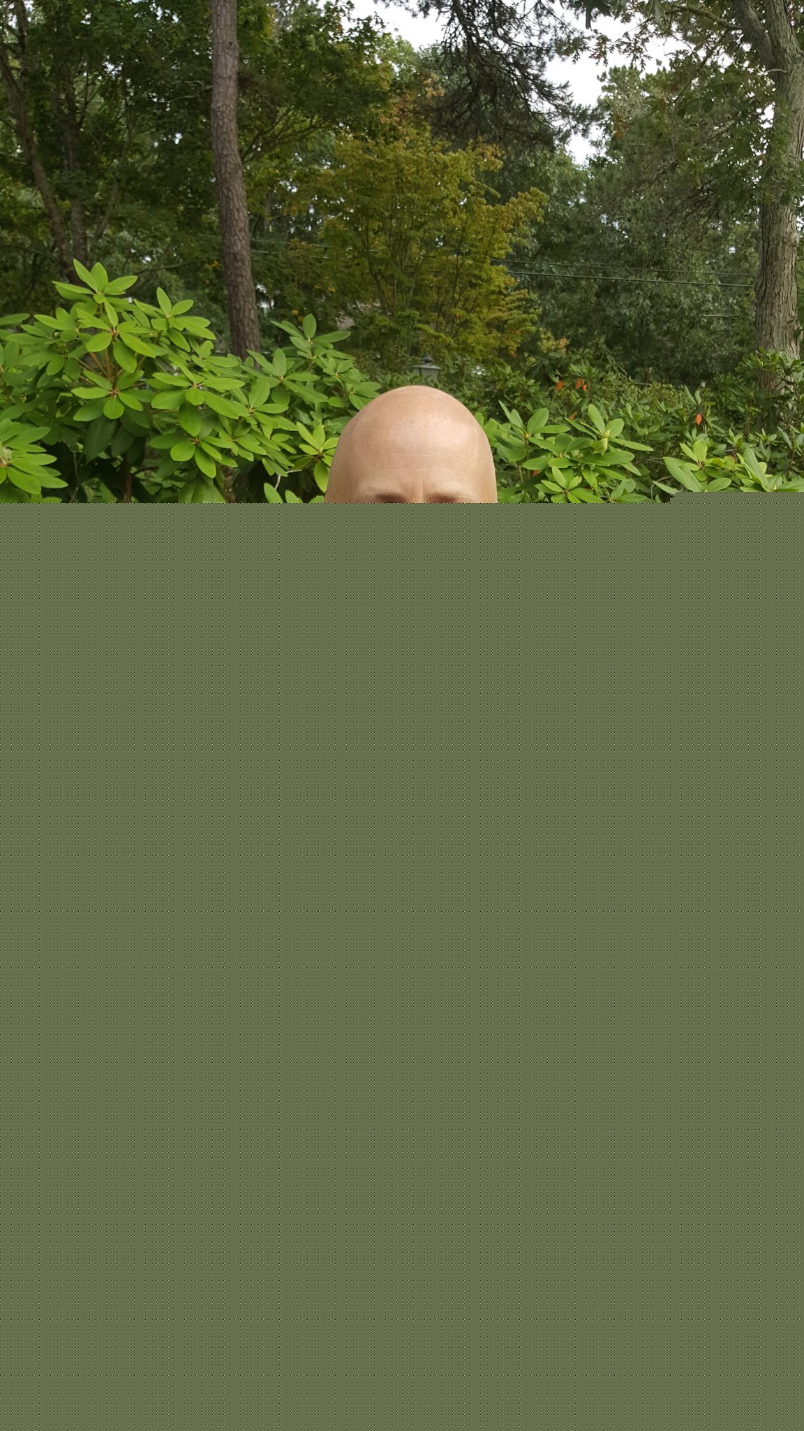 patrickbeet-e1476207234779.jpg